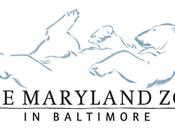 Going Wild Maryland Baltimore, Review