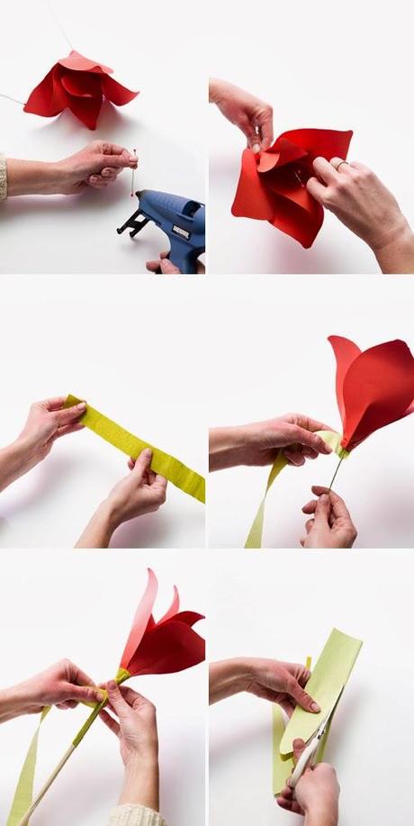 DIY holiday amaryllis