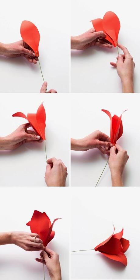 DIY holiday amaryllis