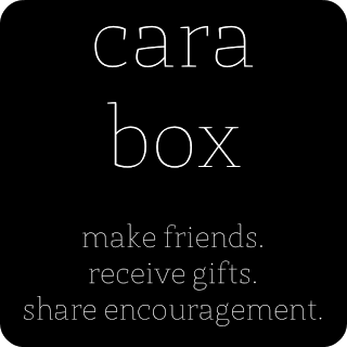 Cara Box Reveal