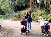 FRANCISCO XPLORY-ATIONS: Start Golden Gate Park