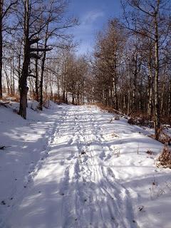 A Little Birthday Snowshoeing