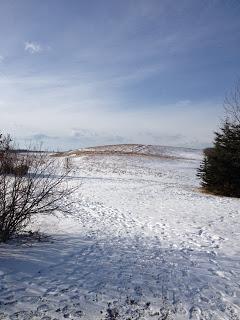 A Little Birthday Snowshoeing