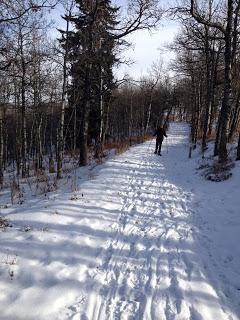 A Little Birthday Snowshoeing