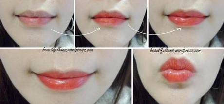 Vidi Vici Perfect Lasting Lip Stain (5)