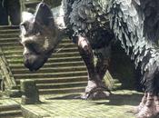 Last Guardian: Ueda “terribly Sorry” Delay, Launch Time-frame Control