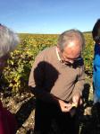 #Terroir-ist Tuesday: Chablis, Part 2