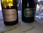 #Terroir-ist Tuesday: Chablis, Part 2