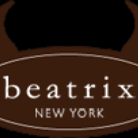 Beatrix New York iPad case – A review