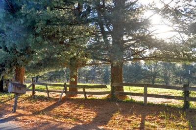 Asheville Back Roads -- Beaver Run and Spooks Branch