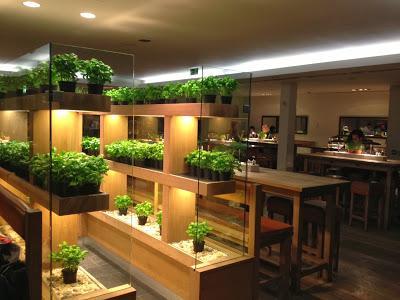 Restaurant Review: Vapiano