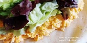 Buffalo Chicken Wraps Recipe