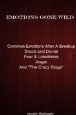 Emotions Gone Wild - Common Emotions after a breakup