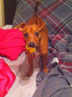 #thankfulproject: Day 22: Expectation