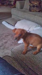 #thankfulproject: Day 22: Expectation