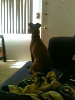 #thankfulproject: Day 22: Expectation