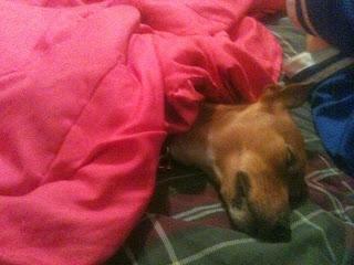 #thankfulproject: Day 22: Expectation