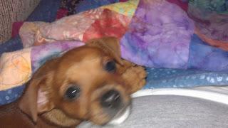 #thankfulproject: Day 22: Expectation