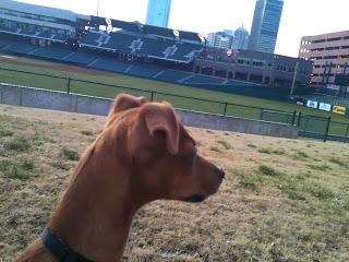 #thankfulproject: Day 22: Expectation