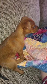 #thankfulproject: Day 22: Expectation