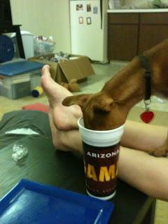 #thankfulproject: Day 22: Expectation