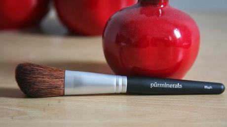 Pur Minerals Blush Makeup Brush Reviews