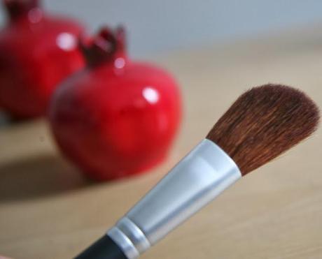 Pur Minerals Blush Makeup Brush Reviews 