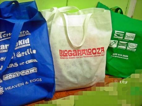 I Experienced the Blogapalooza 2013