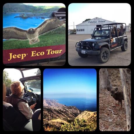 Jeep Tour