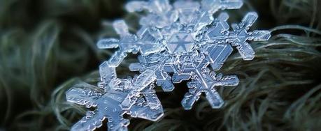 Beautiful Macro Details of Uniquely Beautiful Snowflakes