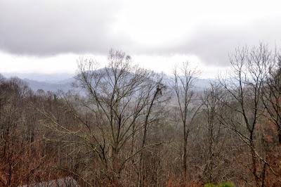 Rainy Day with Turkeys and Kittehs