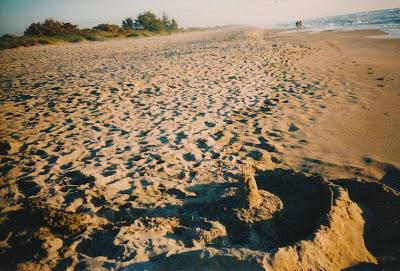 Creation Grace: Build Your House on the Rock