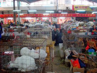 Chinese Market - Yangshuo, Guilin, China