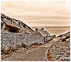 Road to Skomer, Pembrokeshire, Wales#orpheantwitch#wales#camera+ by davidearlgray