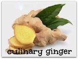 Culinary Ginger