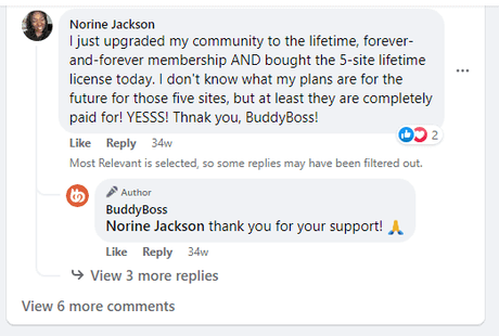 buddyboss customer review 3