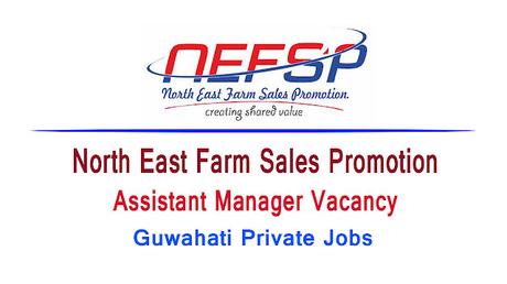 NEFSP Recruitment 2022 | Apply for Assistant Manager Vacancy