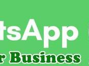 Leveraging WhatsApp Your Business