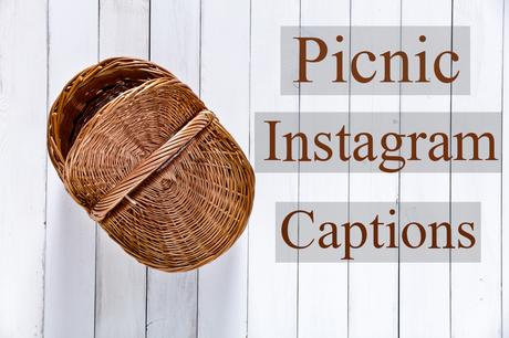 PICNIC CAPTIONS FOR INSTAGRAM BACKYARD PANIC PICTURE   .