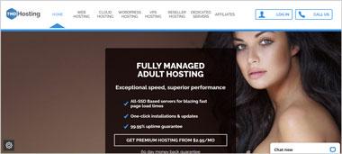 Best Adult VPS Hosting Companies TMD Adult Hosting