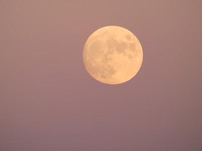 Moonrise in October