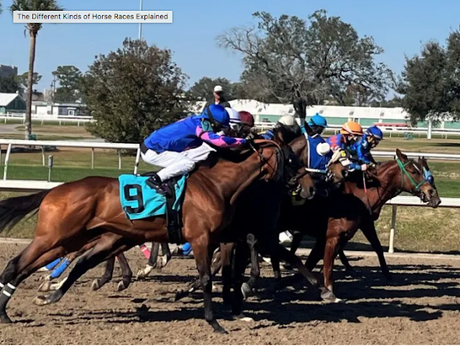 REGINA JEFFERS, HORSE RACING IN THE REGENCY. INTRODUCING ELIZABETH BENNET'S GALLANT SUITOR.