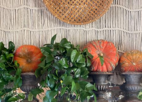 Fall is In the House and Garden