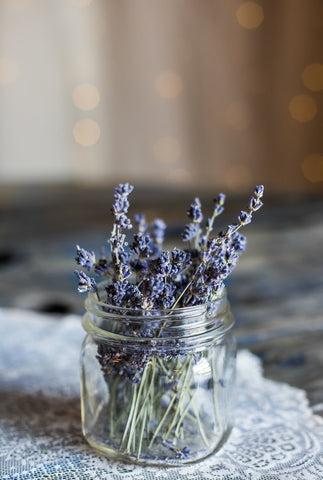 Lavender Property of @the_modern_life_mrs