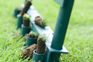 12 Lawn Care Tips for Bermuda Grass