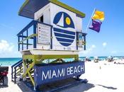 Exciting Family Adventures Sunny Coast Miami