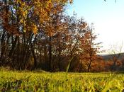 Types Visual Content Proven Boost Learner Engagement [Year]