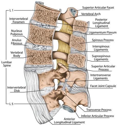 What Is Cervical Vertigo