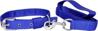 S.Blaze 1inch Blue Border Designed Black Dog Collar Belt, 1.5M-2M Lengthy Chain, Collar & Leash for...