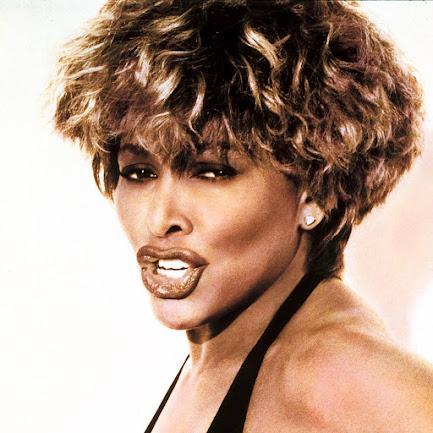 suing for being too much of lookalike - Tina Turner case